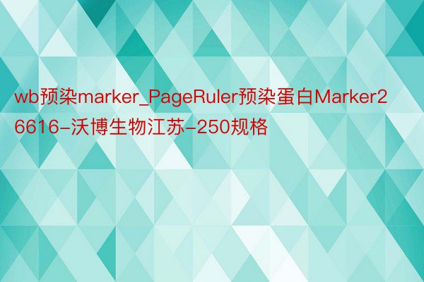 wb预染marker_PageRuler预染蛋白Marker26616-沃博生物江苏-250规格